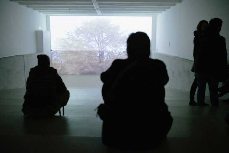 Slika:Drevesa razstava.jpg