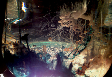 Robertina Šebjanič in Aleš Hieng – Zergon: <br> Časovni zamik: Kemobrionični vrt <br> 17. – 19. 12. 2015 <br> Aksioma, Ljubljana