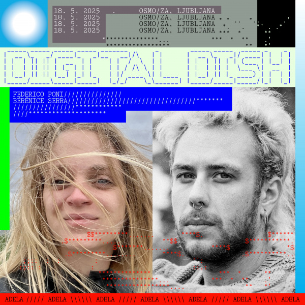 Slika:Digital Dish5.jpg
