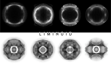 Saša Spačal in Matic Potočnik: Liminoid